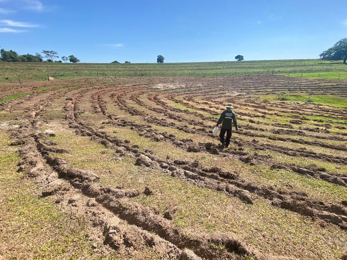 Iniciativa Caminhos da Semente dá início aos plantios de 2024 em propriedades rurais no interior paulista